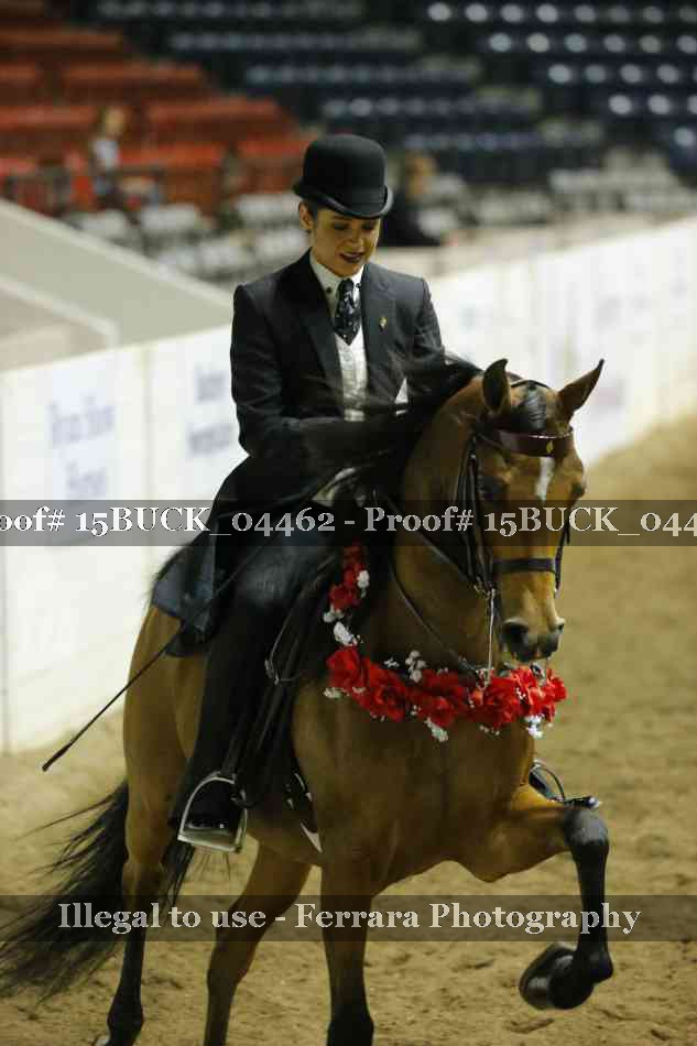 Proof 15BUCK_04462