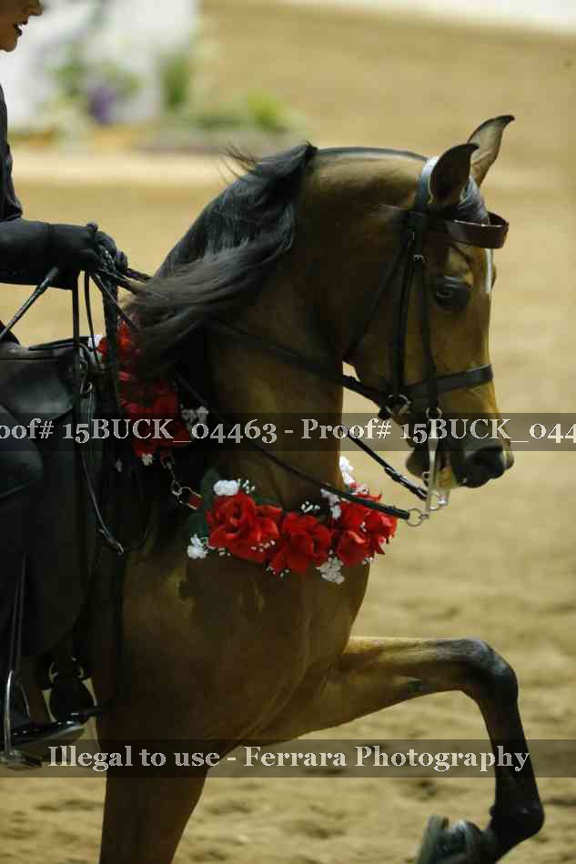 Proof 15BUCK_04463