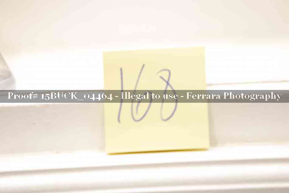 Proof 15BUCK_04464