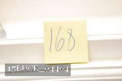 15BUCK_04464 proof