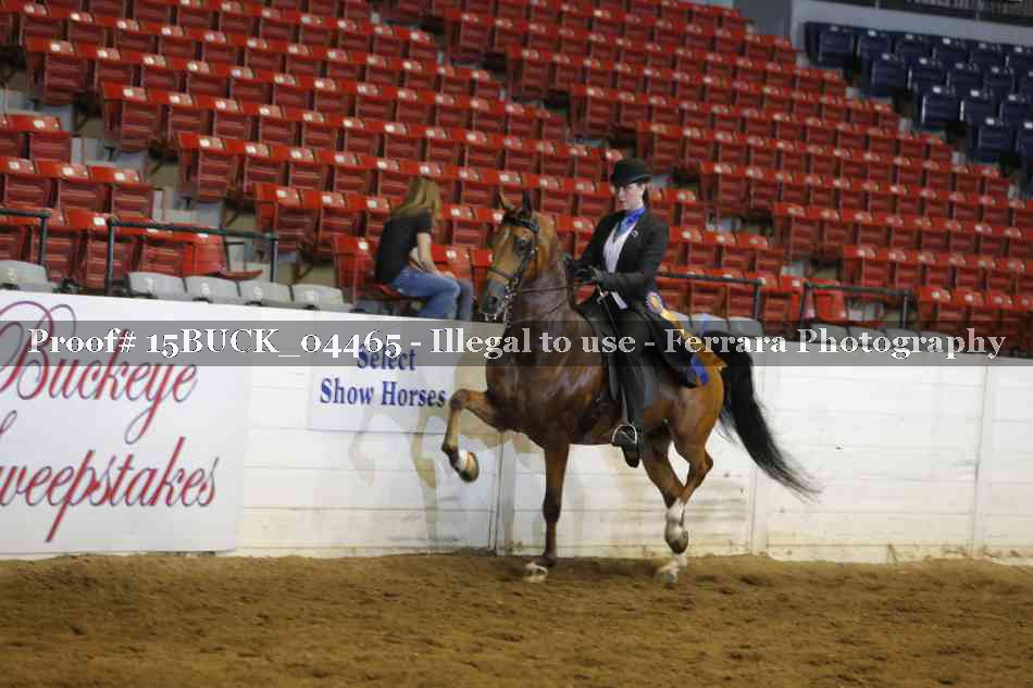 Proof 15BUCK_04465