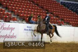 15BUCK_04465 proof
