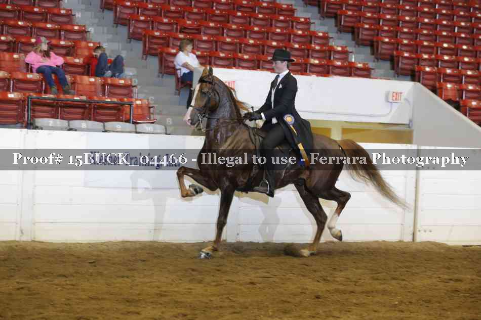 Proof 15BUCK_04466