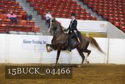 15BUCK_04466 proof