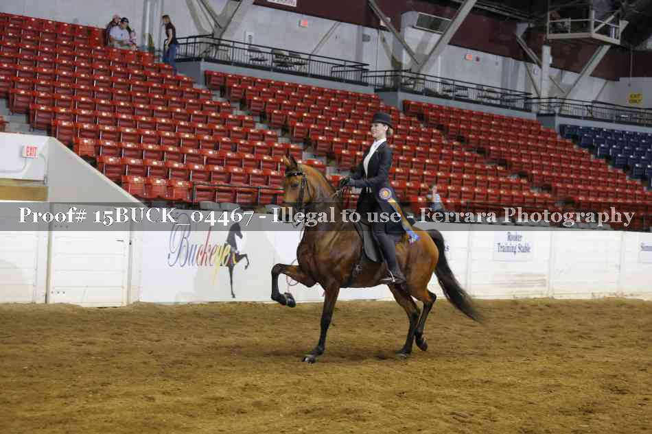Proof 15BUCK_04467