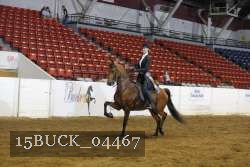 15BUCK_04467 proof
