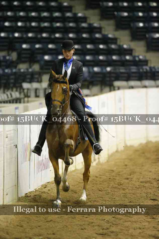 Proof 15BUCK_04468