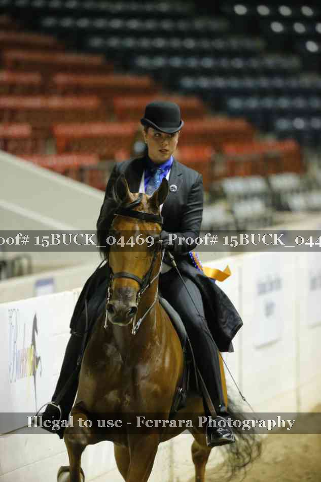 Proof 15BUCK_04469