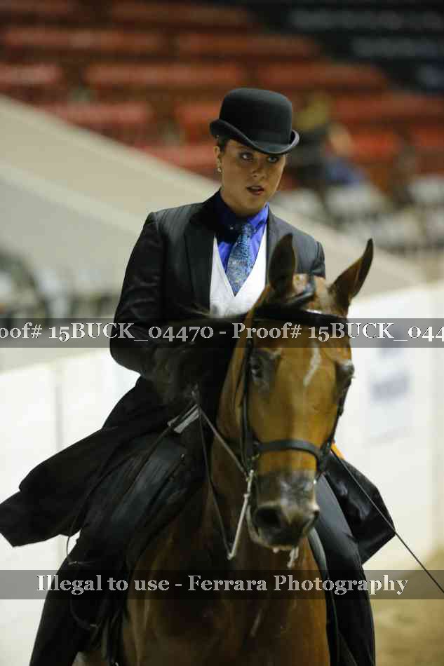 Proof 15BUCK_04470