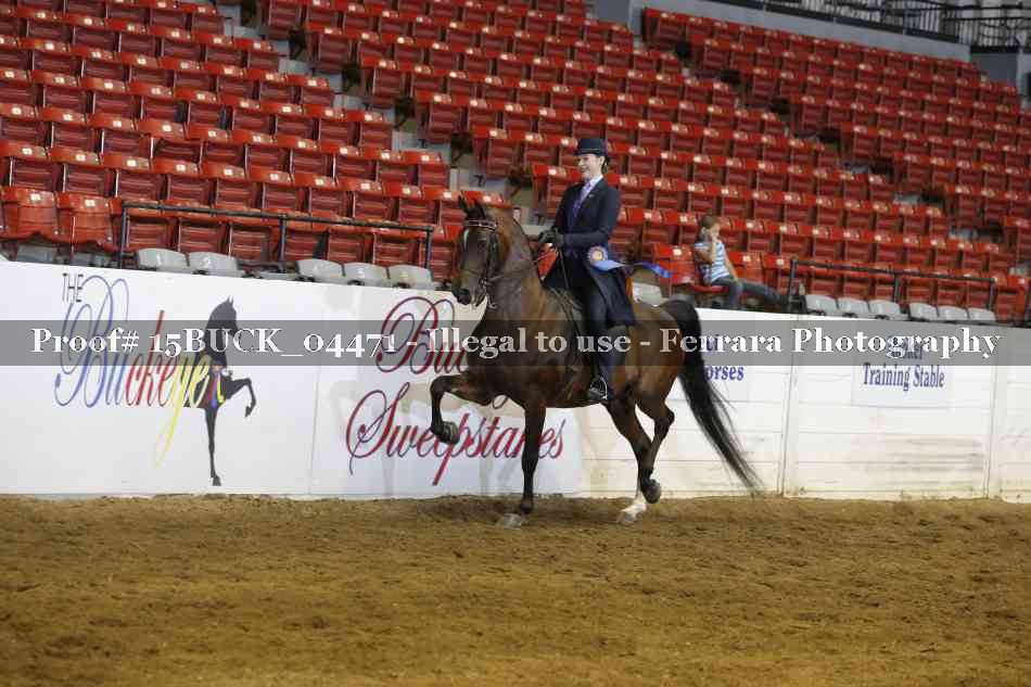 Proof 15BUCK_04471