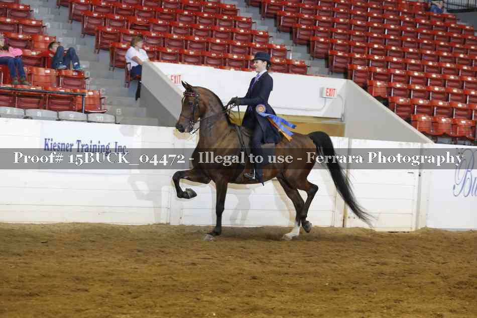 Proof 15BUCK_04472