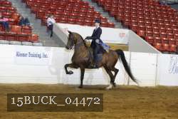 15BUCK_04472 proof