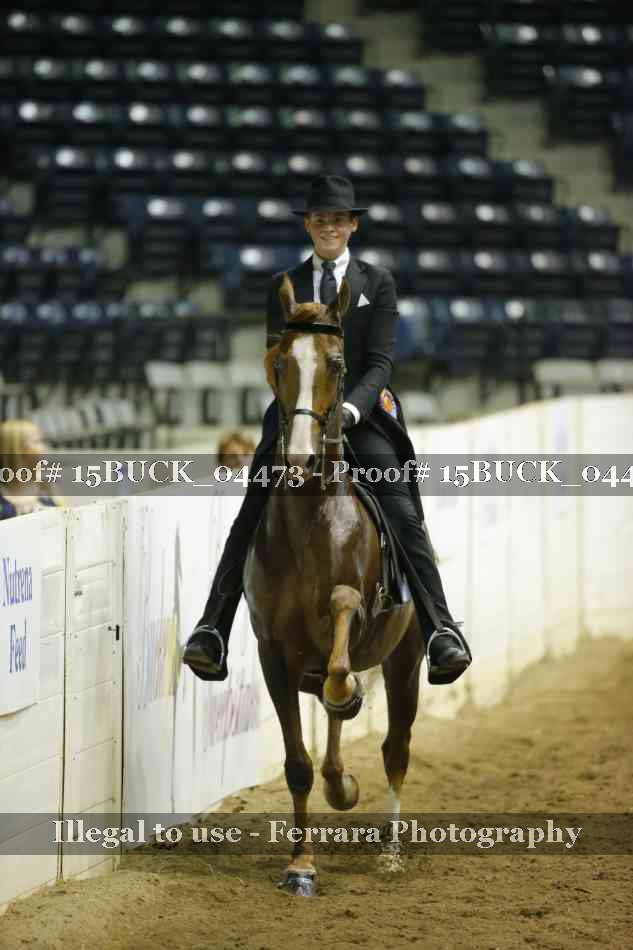 Proof 15BUCK_04473