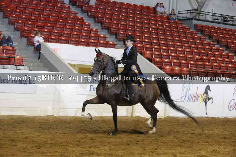 Proof 15BUCK_04475