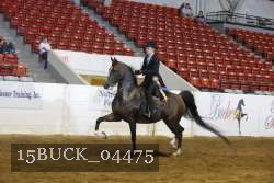 15BUCK_04475 proof