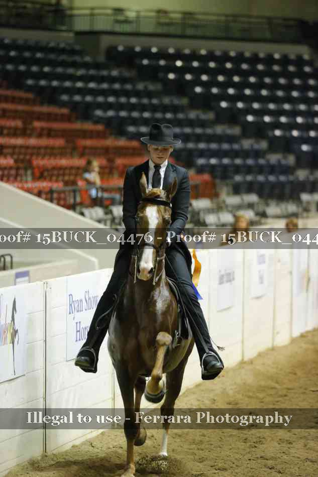 Proof 15BUCK_04476