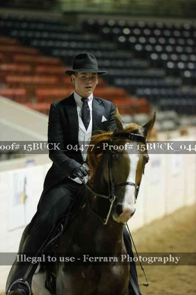 Proof 15BUCK_04477