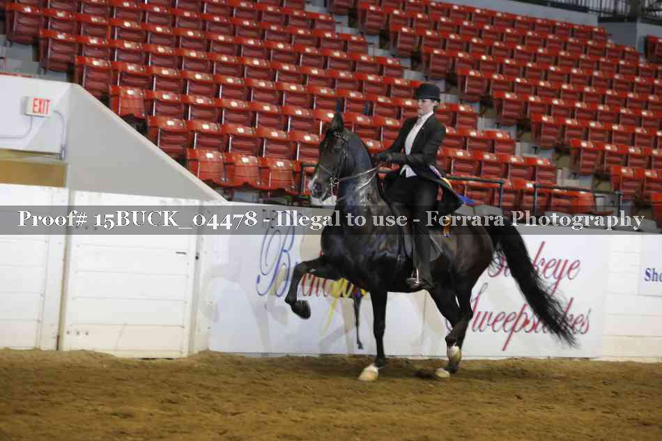 Proof 15BUCK_04478
