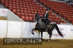 15BUCK_04478 proof