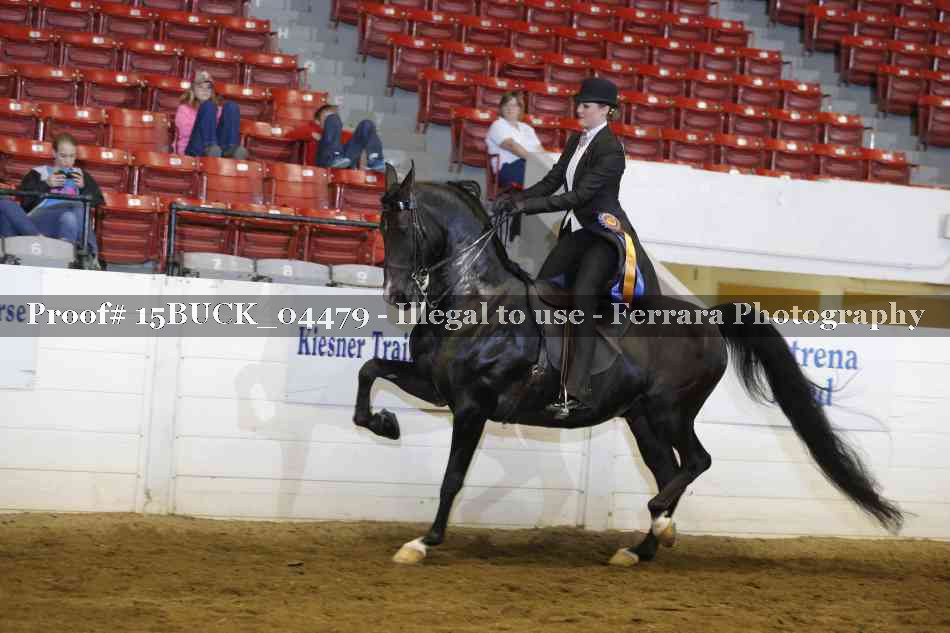Proof 15BUCK_04479