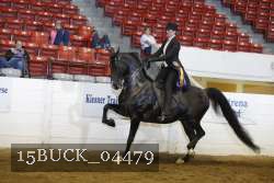 15BUCK_04479 proof