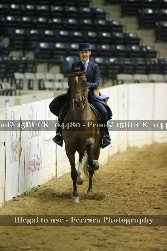 Proof 15BUCK_04480