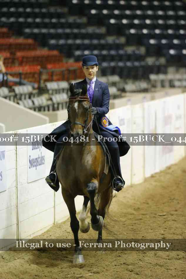 Proof 15BUCK_04481
