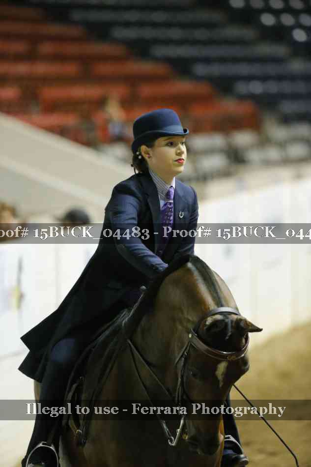 Proof 15BUCK_04483