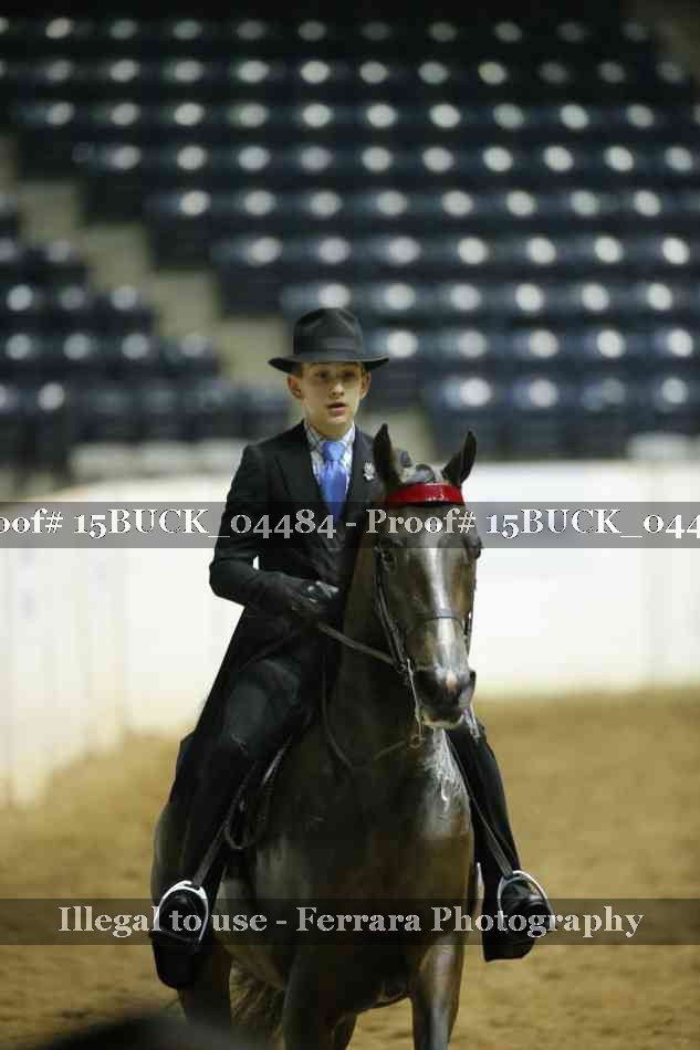 Proof 15BUCK_04484