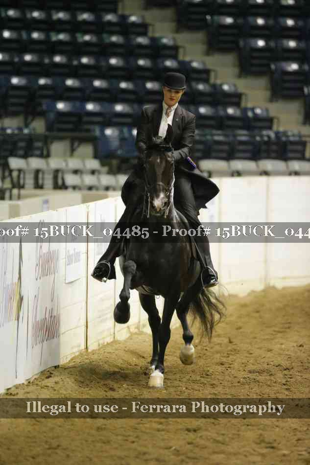 Proof 15BUCK_04485