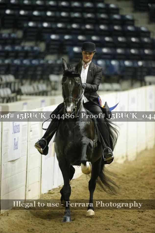 Proof 15BUCK_04486
