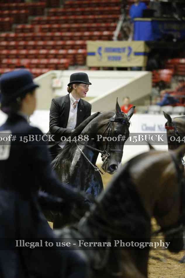 Proof 15BUCK_04488