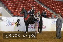 15BUCK_04489 proof