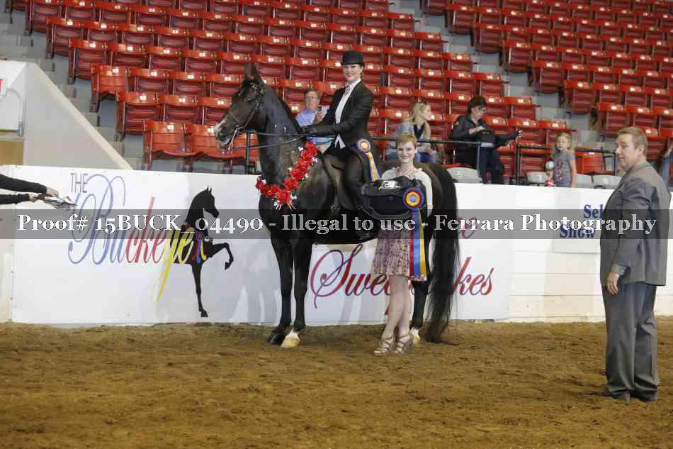 Proof 15BUCK_04490