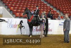 15BUCK_04490 proof