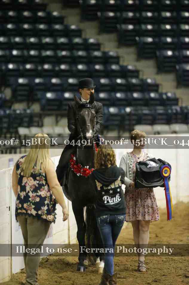 Proof 15BUCK_04491