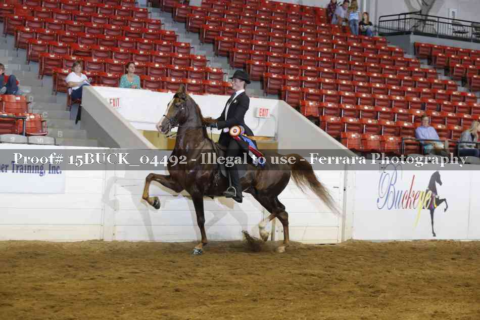 Proof 15BUCK_04492