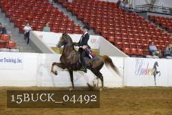 15BUCK_04492 proof