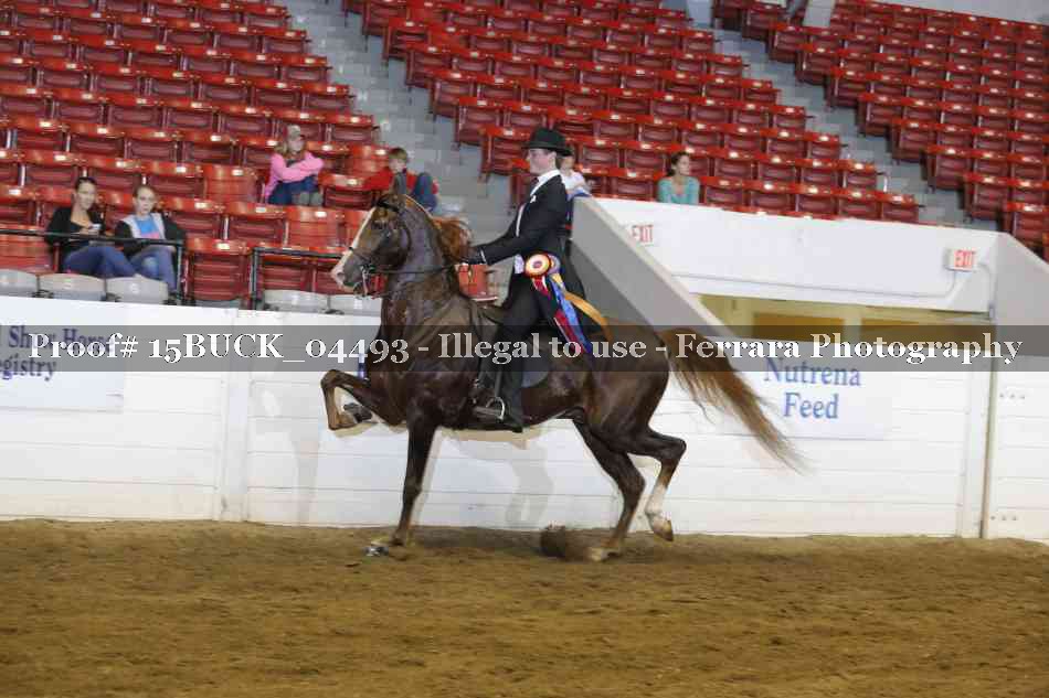 Proof 15BUCK_04493