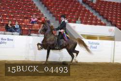15BUCK_04493 proof