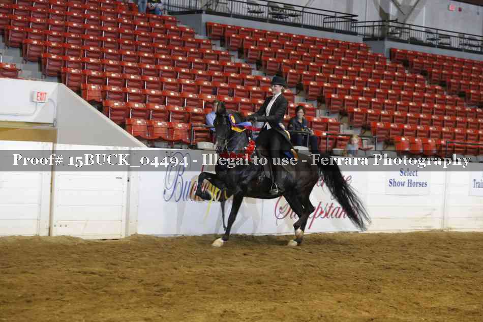 Proof 15BUCK_04494