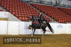 15BUCK_04494 proof