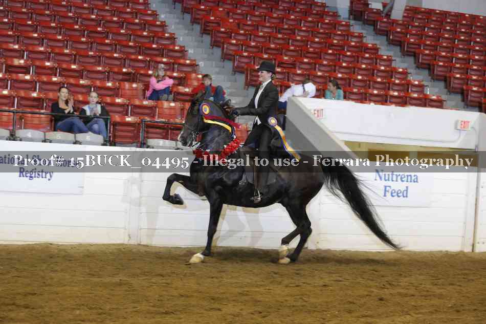 Proof 15BUCK_04495