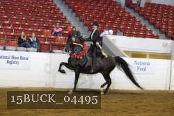 15BUCK_04495 proof