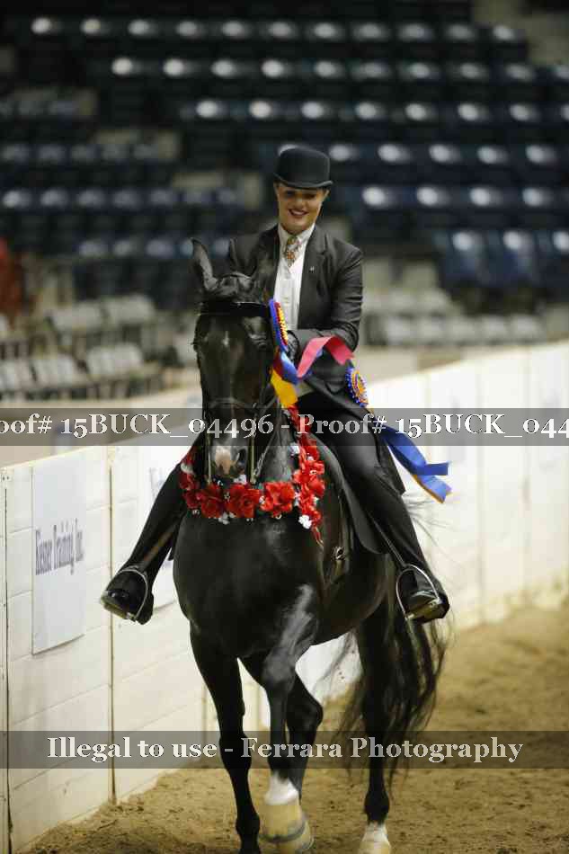 Proof 15BUCK_04496