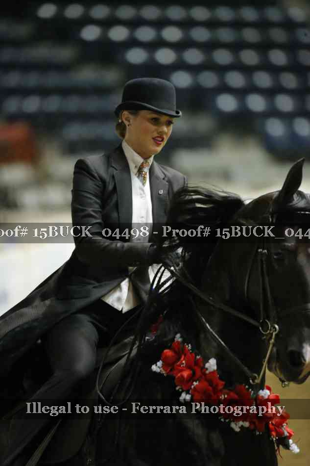 Proof 15BUCK_04498
