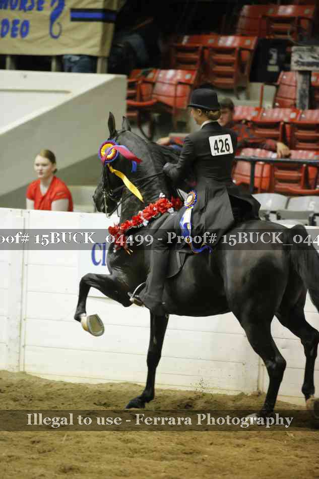 Proof 15BUCK_04499