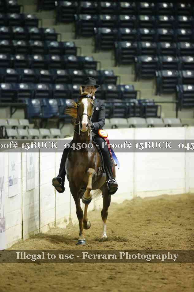 Proof 15BUCK_04500