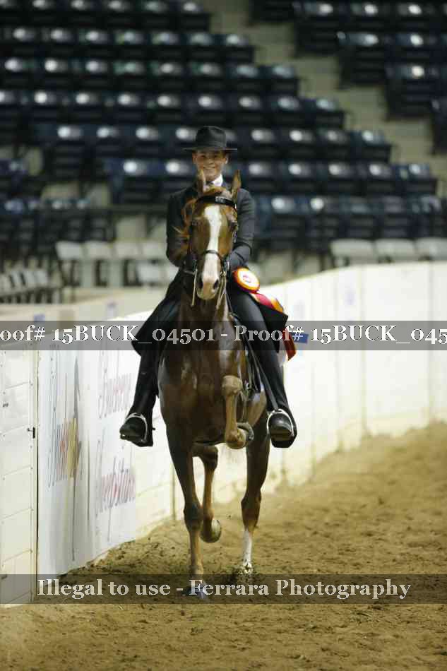Proof 15BUCK_04501