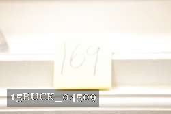 15BUCK_04509 proof